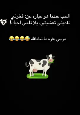 #مالي_خلق_احط_هاشتاقات🧢😂✌️ #شعب_الصيني_ماله_حل😂🏃‍♀️ 