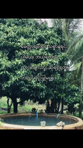 ဘဝပါရင်းမဲ့ကောင် #fypシ #စာတို☯ #fyp #ti̇ktok 
