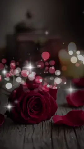 #مسسسسسسسسسسسساء_الورداااات🌹✨🌹 