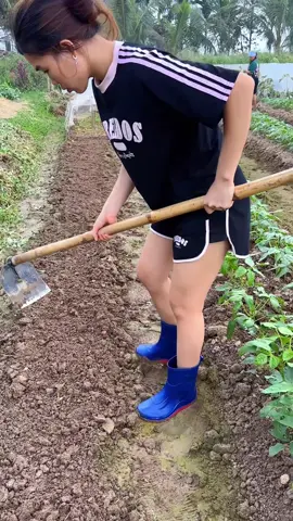 Ủng đi mưa vừa sạch chân lại an toàn #ủng #unglamvuon #ungdimua #unglamruong #ungchongnuocmua 