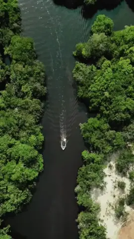 #tiktok #fyp #usa🇺🇸 #foryou 