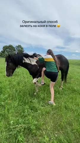 Туториал, как я научила коня меня «подкидывать» ногой, в моем телеграме Marisha_MT_Konoblog 🔥 #лошадь #обучениелошади 