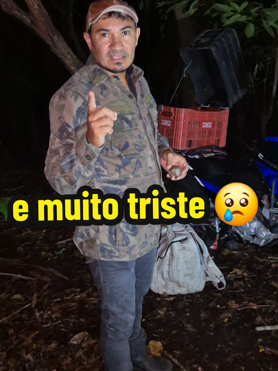 #cachorros #caçada #tiktok #tiktokBrasil #viral 