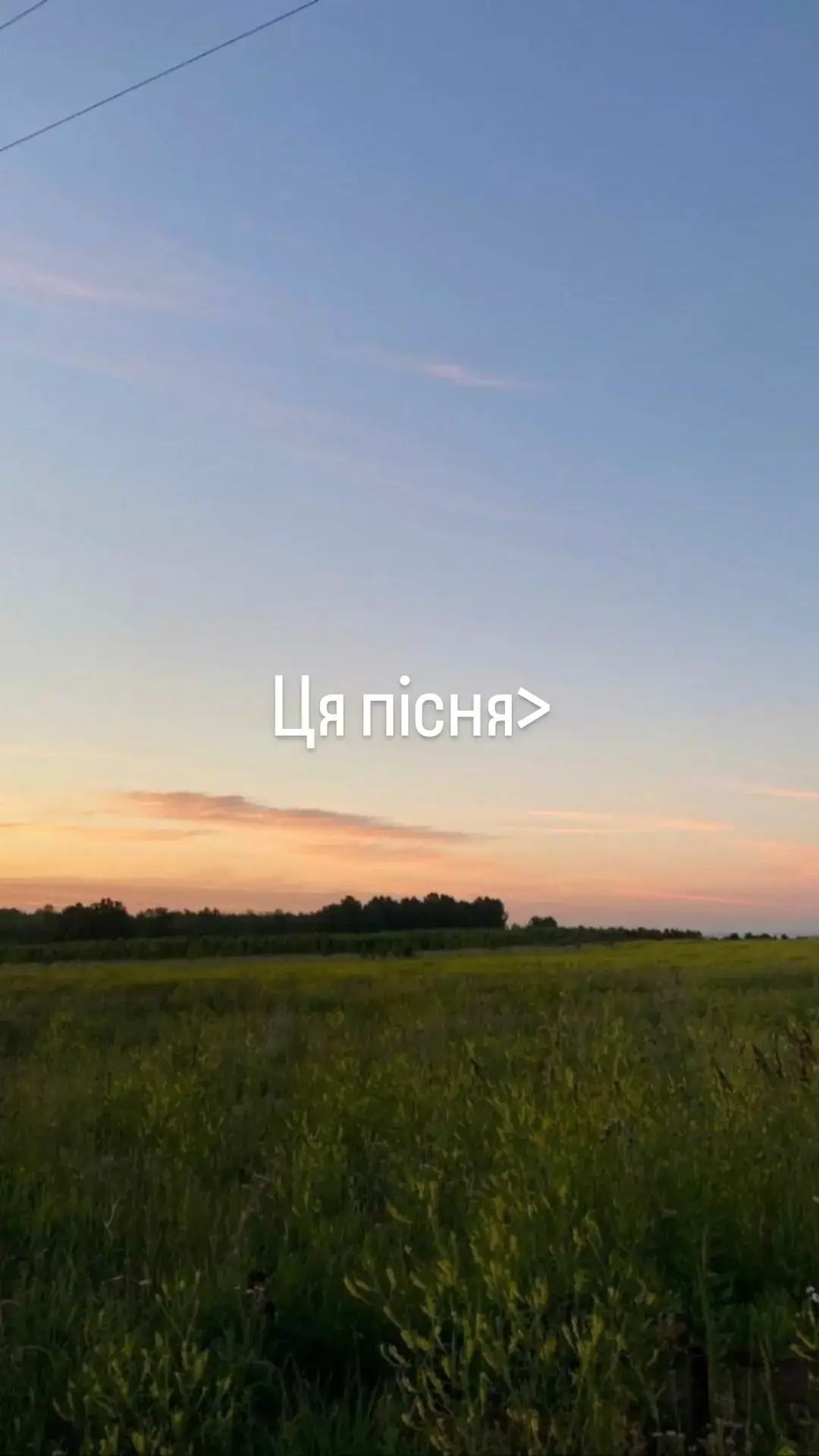 tgk:a_spotify_07 #spotify #ukraine #yaktak #букети 