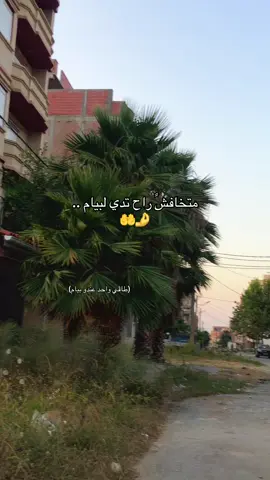 #حركة_الاكسبلور #شعب_الصيني_ماله_حل😂😂 #جزائر 