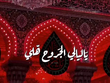يَاليالي الجَروح هلي 🖤 - #محرم #العتبه_الحسينيه_المقدسه #البحرين #النجف #العراق #تصاميم_حسينيه #fyp #foryou #viral #viralvideo #explore #اكسبلورexplore 