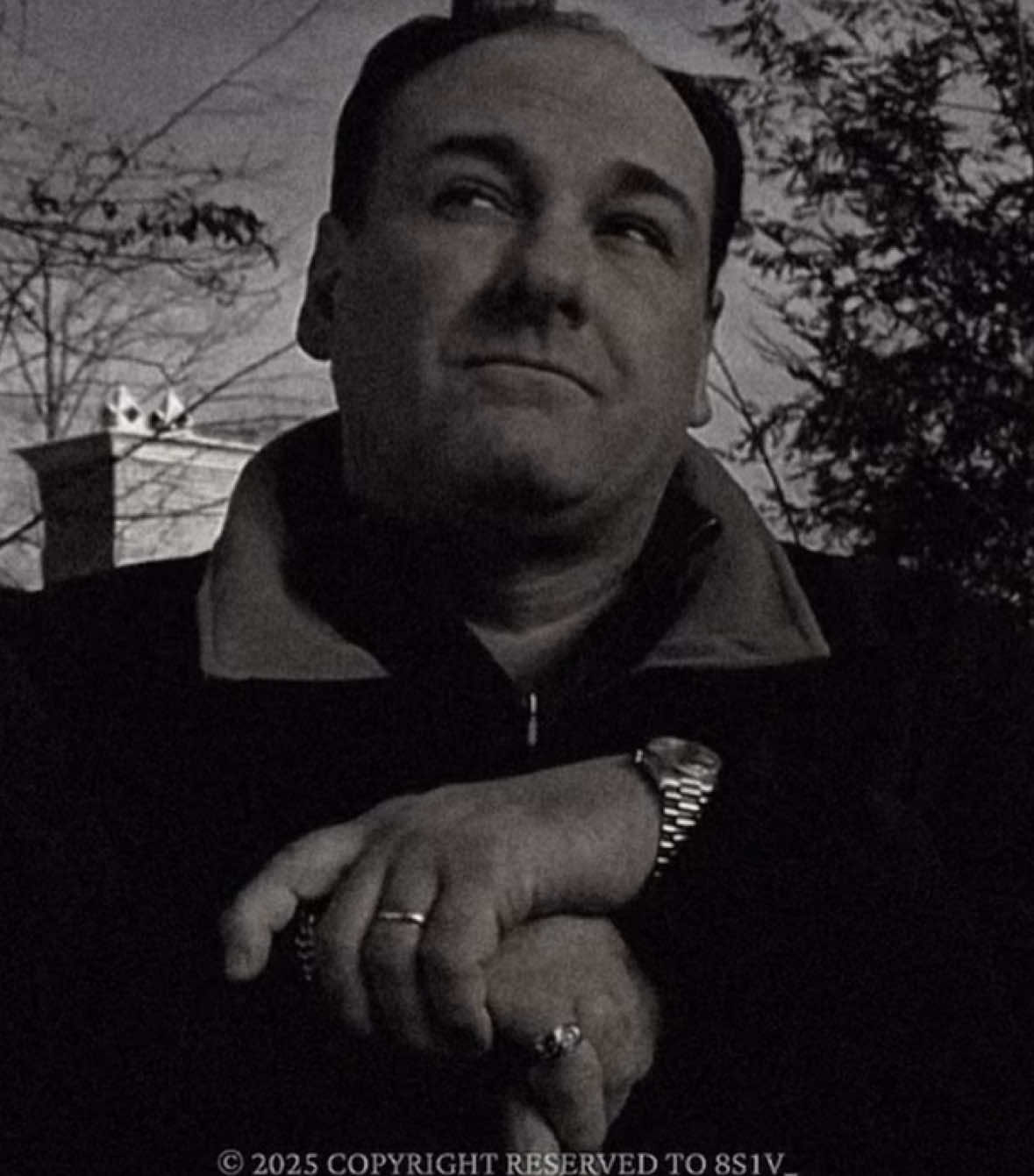 #tonysoprano #sopranos #soprano #silviodante #sopranosedit #pauliegualtieri #ralphcifaretto #edit #fyp #foryou #fypシ 