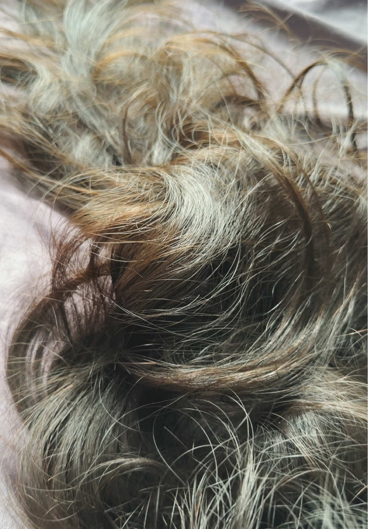 Pov: your hair is just so long 
