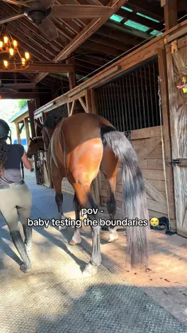 ok then 😭 #fyp #foryoupage #equestrian #fyppppppppppppppppppppppp #equestrian #foryoupage #horsegirl #fypp #viral #viralvideo #horsetok #horselife #giant4yearold #horses #fypシ #horsesontiktok #pov #horse #fypdongggggggg 