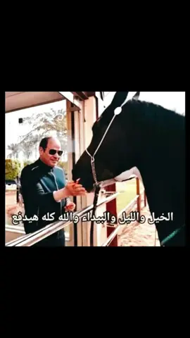 #foryou #حقيقي #fyp #try #A #really #مالي_خلق_احط_هاشتاقات #viral 