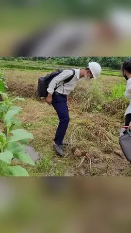 #garden #build #bushcraft #singlemom #Vlog 