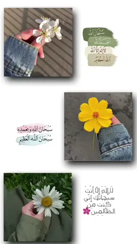 اللهم كن معي في كل خطوة بحياتي فلا حول ولا قوة لي الا بك🤍#يارب #اللهم_سهل_لي_مطلبي #دعاء#في هذا اليوم 