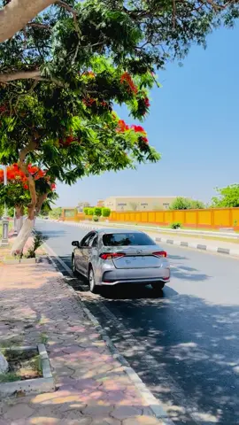 #ابو_مرادً🔥 #اكسبلور 