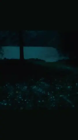 flower's for a pretty girl like you 🪷 #fypシ #flowers #lanadelrey #cinnamongirl 