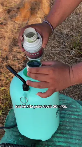 yaa beginilah sala satu yang pasti ada Pada TBM kita untuk pengobatanya kita gunakan AUSSIE ajaa yaa @Aussie Official 😁🌴 #sawitontiktok #petanimuda #fyp #aussieganoderma 