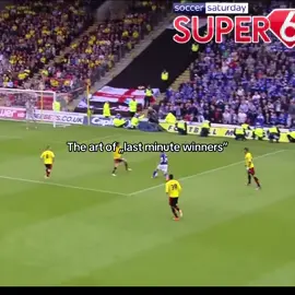 Nothing Beats this feeling #lastminutewinners #football #watfordfc #watford #deeney #fyp #foryoupagе 