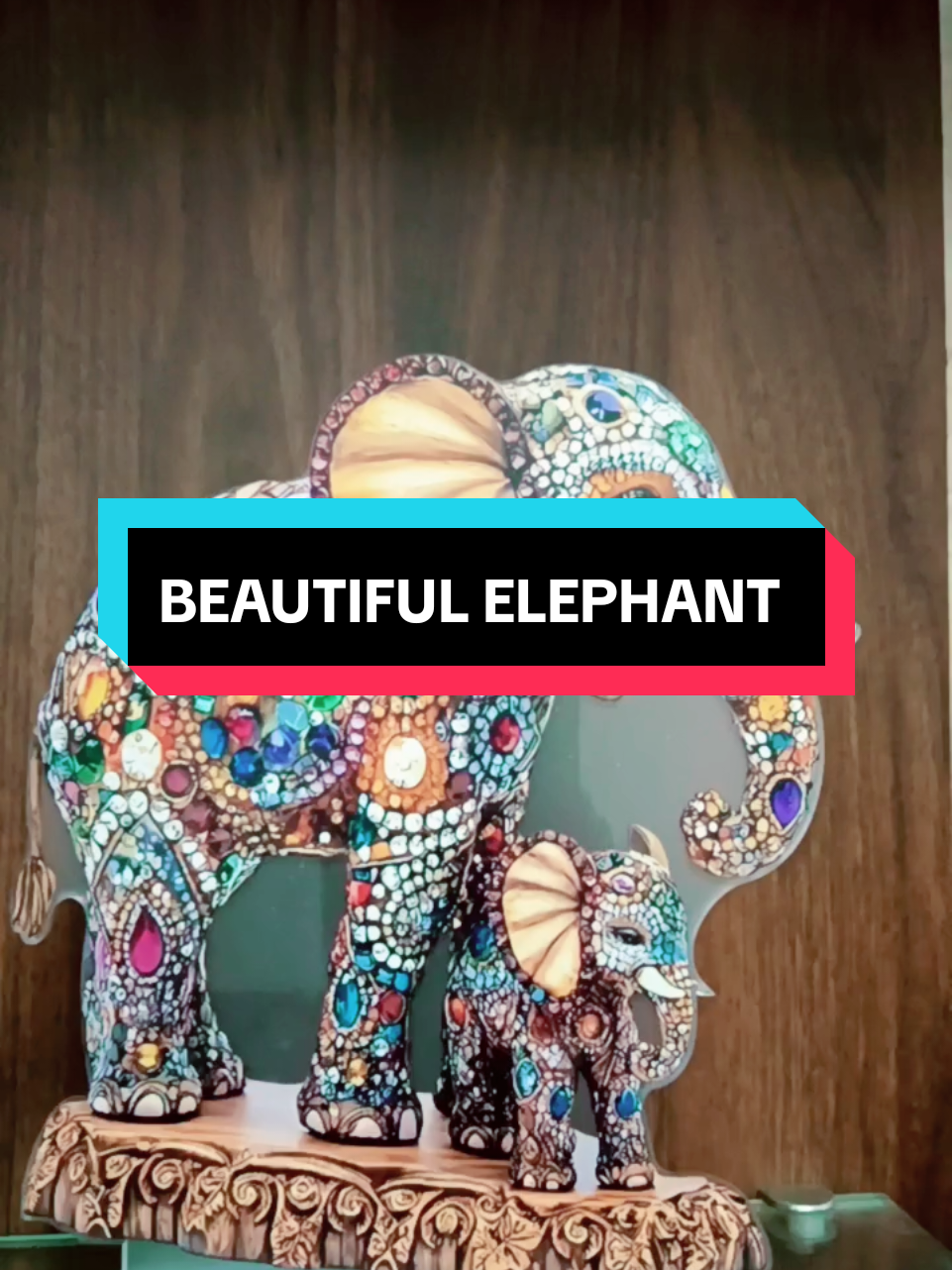 BEAUTIFUL ELEPHANT 🥰🥰🥰
