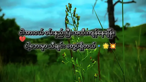 #fpy #mtခေါ်ကြကွာ😁😝💖 #foryou #စာသားcrd #မင်းတို့ပေးမှ❤ရမဲ့သူပါကွာ #ဒီချိန်တင်ရင်viwerမတတ်မှန်းသိတယ်🙂 #myanmartiktok🇲🇲🇲🇲 #ဘယ်သူမှမရှိကြဘူးလူတွေ 