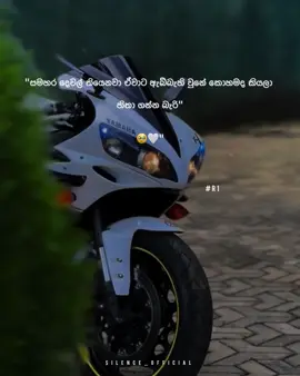 පිස්සුවක් 🥹🤍 #r1#r1bike#r1srilanka#r1lover#highcapacitysrilanka🇱🇰#highcapacitybike#highcapacitybikes🇱🇰🇯🇵#japanbike#bikewadan#whatsappstatus#fypシ#viralvideo#foypage 