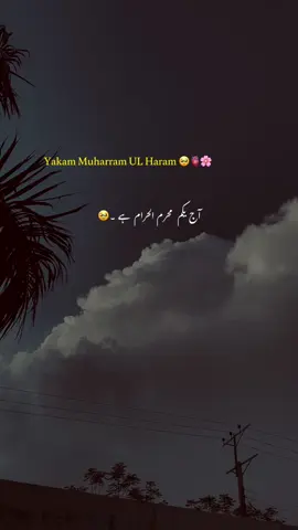 Yakm Muharram UL Haram🥹🥀🦋#foryou #foryoupage #asthetic #grow #account #islamic_video #1million #yousaf_vibes1 