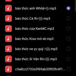 tự hào vili khi fan mấy ảnh từ hồi Mega SMP 2024 đến bây giờ>< #megasmp2024 #Kira #Kiramekmeoz  #KiraMC #whiteMC #kenmc #Kisa #Neyuq #Siro 
