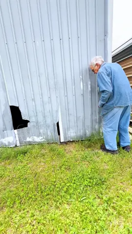 Cleaning a BMW that has been in storage for a long time. Check out my final results!#washingcar #cleaningcar #asmr #viralvideo #viraltiktok 