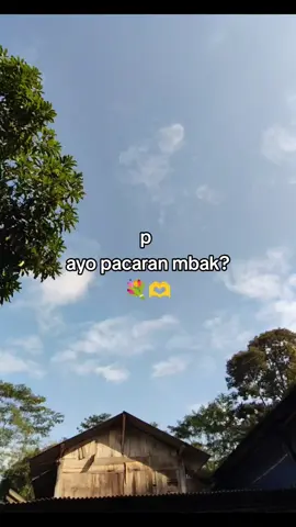 sek jomblo komeno #caripacar #xyzbca #cariteman #fypシ #fyp #masukberandafyp 