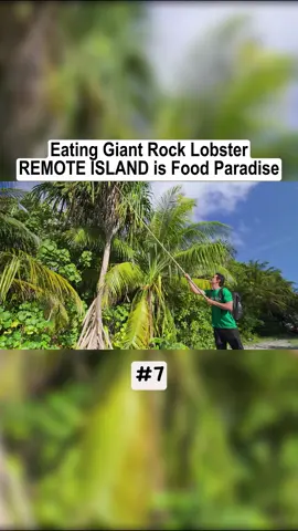 Eating Giant Rock Lobster #foods #reviewfood #food #mubang #markwiens #maldives 