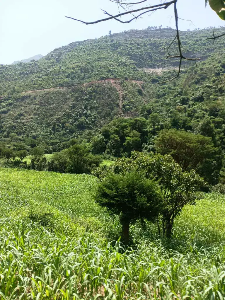 #القران_الكريم_راحه_نفسية😍🕋_ارح_قلبك #سبحان_الله_وبحمده_سبحان_الله_العظيم 