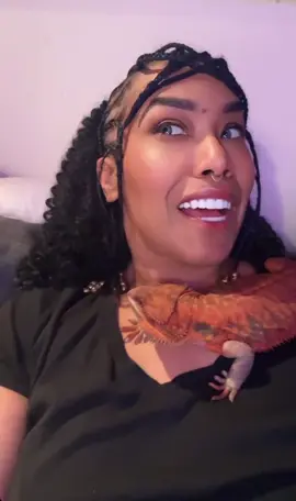 For everyone #Rupertthebeardeddragon #afrolatina #femsoftiktok #beardeddragonsoftiktok #wlw 