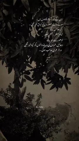 #standwithkashmir #tiktokteammyviews10mplease #1millionviews #shayari #fypppppppppppppp #tiktokteamviralmyvideo 