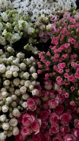 #рекомендації #tatarivflowerstore #квіти🌺🌸🏵️ #ukraine🇺🇦 #доставкаквітів #доставкаквітівбуковель #рекомендаціїукраїна #доставкаквітівтатарів #буковель #квіти #квітитатарів #жінка #тюльпан #квітибуковель #татарів #рекомендації🇺🇦 