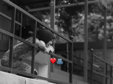 F_amiir wan idin salamay😭❤️‍🔥💅🏽#anishayyyy🖤🌸 #annie #dramagirl #kdrama #cdrama #jennie #lisa #Rose #jisoo #blackpink #fypviral #foryoupage #fypシ゚ 