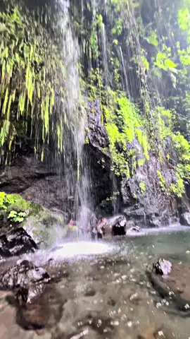 Wajib sih datang ke sini Vibes nya Adem banget 🥶🎋🎍, jarang rame lgi tempatnya, ke dalaman 4m di tengah’,di sediakan pelampung juga tpi yewa #baturaden #banyumas #purwokerto #bhumibambubaturraden #fyp 