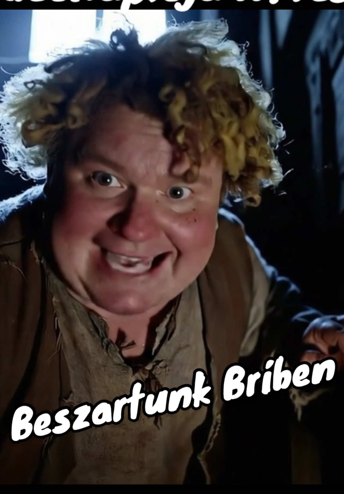 Nem fogok hazudni, unom már a baktatást, de a csuklyások realben beszarattak minket. 😅 #googleveo #ai #magyar #hungairian #magyarai #veo3 #lotr #gyurukura #hobbit #samu #foryoupagе #fyp 