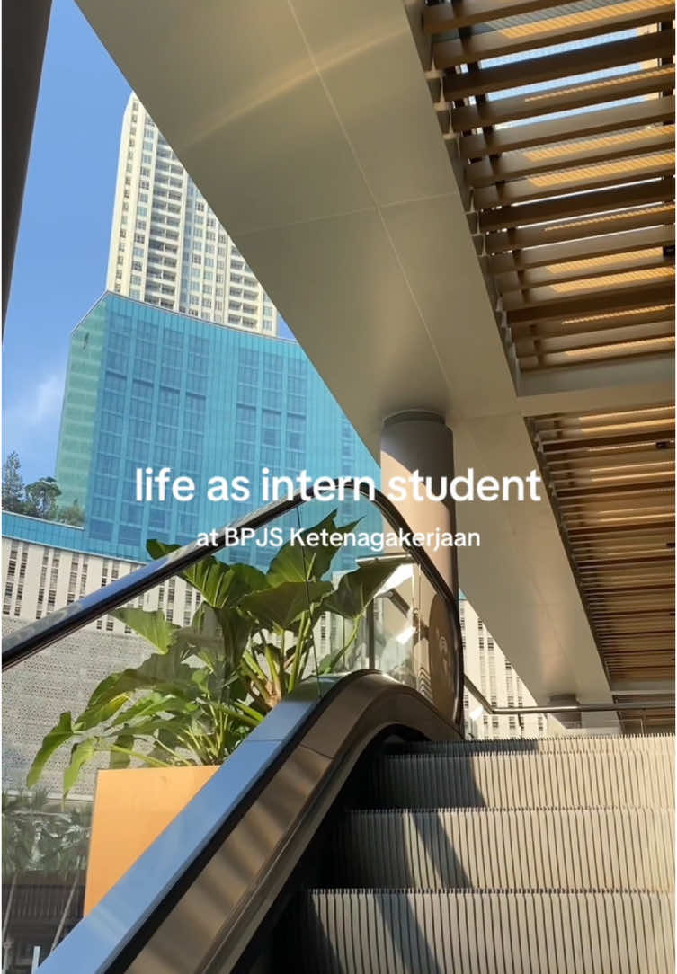seruu bangett aakkwjw ><  #internship #fypシ #magang #minivlog 