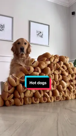The annual hotdog competition… 😂
