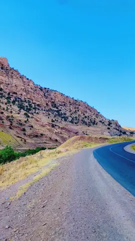 #كردستان_العراق🇮🇶 #سليمانية 