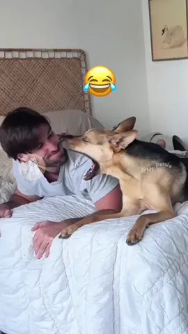 🔥🔥👉 @LOLittles 👈🔥🔥 @My Petsie @Adam & Elea @LOLittles  @🐾Ricky 🐾 @𝐃𝐢𝐠𝐢𝐭𝐢𝐟𝐲𝐡𝐮𝐛  When Humans Start Acting Like Dogs 😂🐾 #MyPetsie  ___________________________________________  Explore the Link in Our Bio for More Best Pets Toys & Supplies! 🛒🛍️  ___________________________________________    Follow @my.petsie  For More Daily Videos 🔥❤️  ___________________________________________  Ever wondered how your dog would react if you acted just like them? These hilarious pups are totally confused — and it’s comedy gold! 🤣 Tag a friend who needs this laugh today! ⁣___________________________________________  Plz Dm for credit & removal 💬 ___________________________________________  Our social Media : 👇(contact on us Instagram    @my.petsie & @my.petsie1 & @mypetsie.store  ___________________________________________  #LOL #DogReactions #DogMomsBeLike #FunnyDogs #DogMeme #DogComedy #Puppy #Puppies #DogReactions #DogBehavior #DogOwners #DogLife #DogsOfInstagram #PetHumor #PetReels #DogsBeingDogs #ComedyReels #ViralDogs #ReelComedy #FurBabies #InstaDogs #DogLovers #MyPetsie 