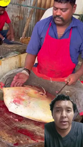 Comer mantarrayas es muy saludable para el corazón #reelsfbシ #fypシ #curiosidades #Entretenimiento #datoscuriosos 