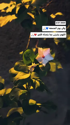 يارب ❤️🙏🏻 #تصويري #تصوير #اكسبلور #parati #اكسبلورexplore #لايك #تصويري_احترافي_الاجواء👌🏻🕊😴 #غيوم #فيديوهات #pov 