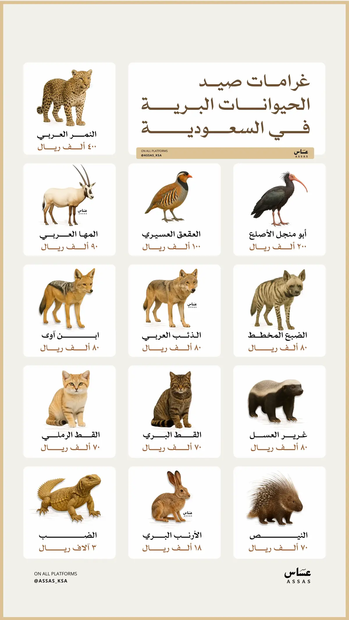 في #السعودية #اكسبلورexplore 