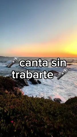 Necio, porque tienes dueño Y yo soy un loco hablando con reflejos que no están #parati #fypシ #fyp #cantasintrabarte #necio #romeosantos #para_ti 