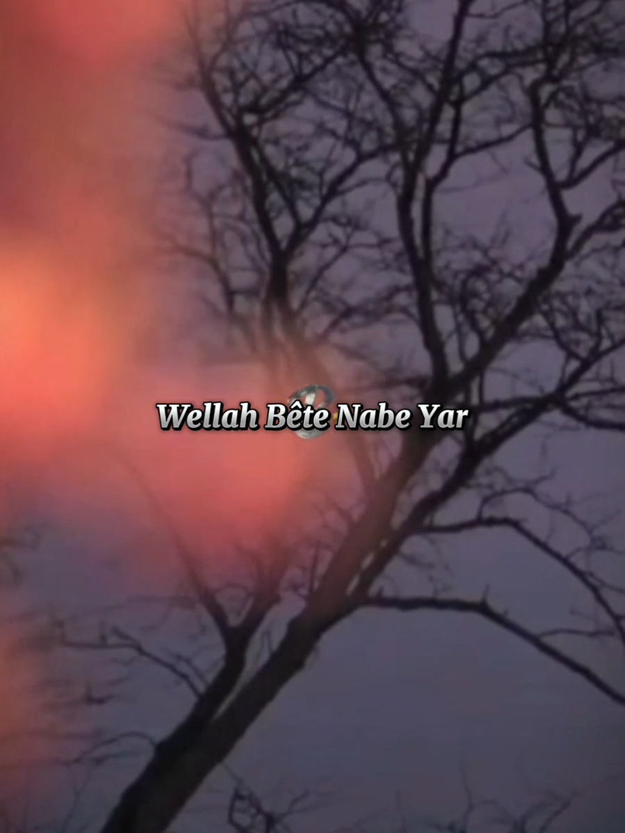 #videomontage #♡  وكأنني أعاتب أصم , وأطلب حَديثَ مِنْ أبڪم.....#راقت_لي  #تصميم_فيديوهات🎶🎤🎬، #foryoupag #fypシ #viral #explore #See 