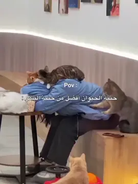 🥺♥️. #foryou #viral #fyp  #فولو_اكسبلور #explore 