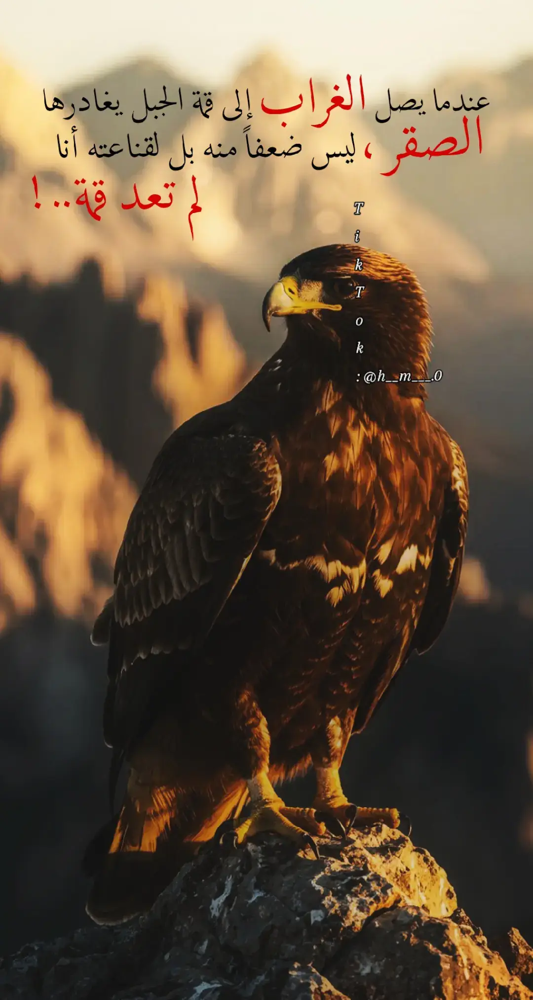 عندما يصل الغراب إلى قمة الجبل يغادرها الصقر..!🦅🔥🖤 #عباراتكم_الفخمه📿📌 #افخم_عبارة_اصمم_عليها_مع_منشن❤️‍🔥 #قصف💥_جبهات🤦😅 #الشعب_الصيني_ماله_حل😂😂 #اعادة_النشر🔃 #اكسبلور #explore #نعم_يا_صديقي🖤🌿 #انو_اي_وهيكا🖤🚬 #hazem_العنداني🔥👑 #تصـميـمي🌚😶 #video #trending #viral #tiktok #fyp 