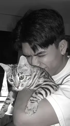 #josswayar 