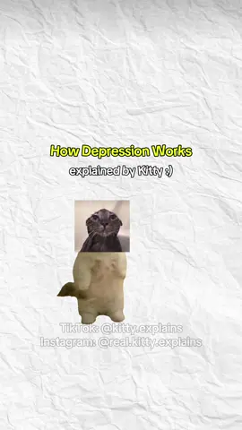 Depression explained by Kitty #cats #catanimation #depression #kittyexplains 