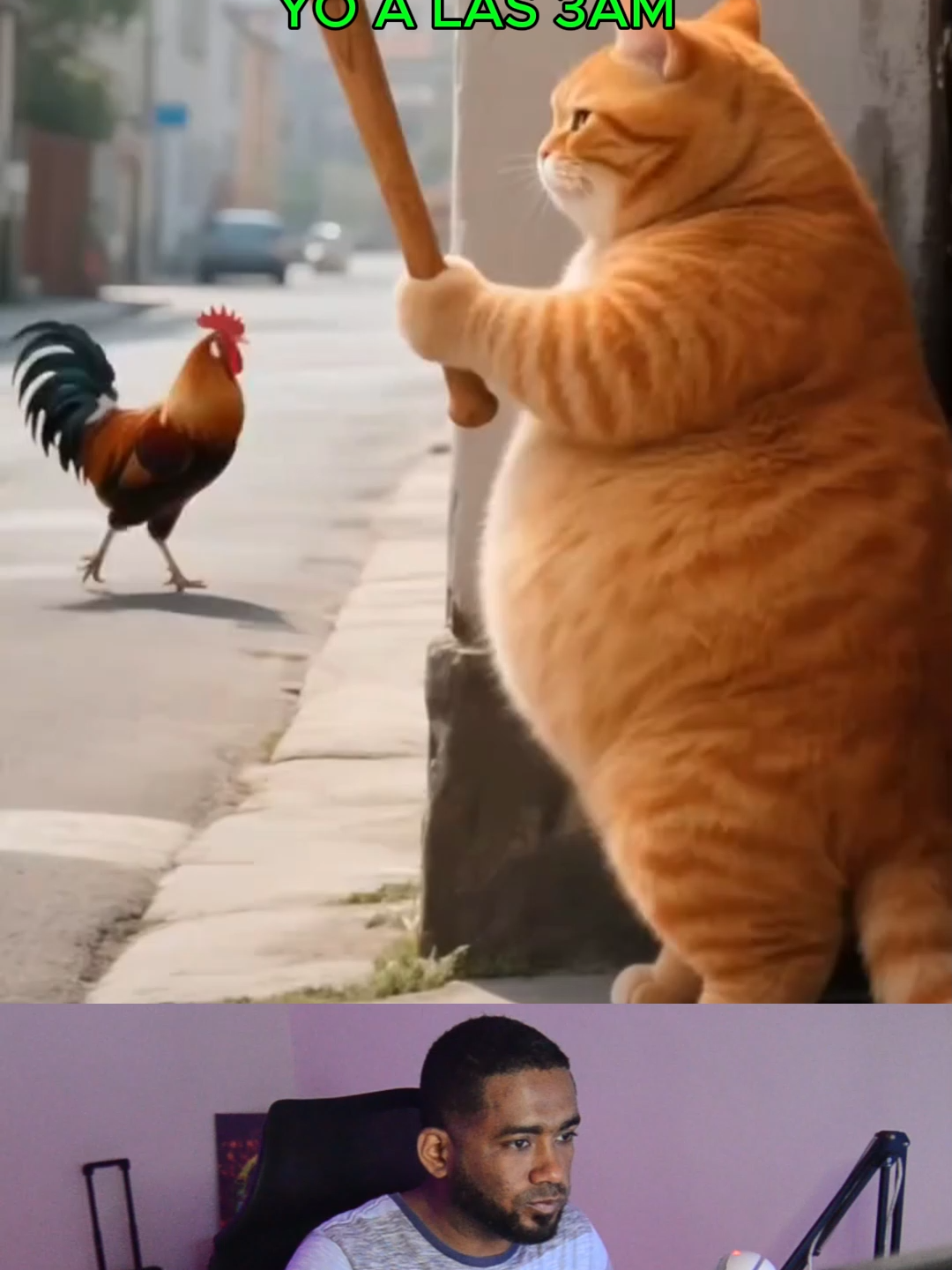 GATOS