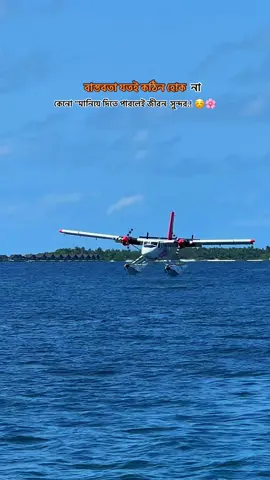 বাস্তবতা যতই কঠিন হোক না কেনো 